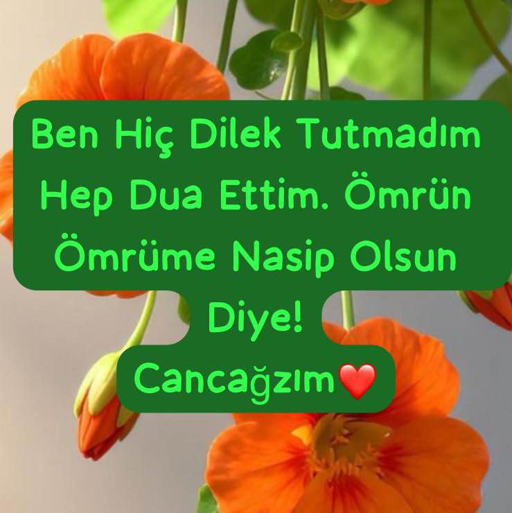 Türkiye Yürüyüş Grubu T.C H. Hüseyin post image