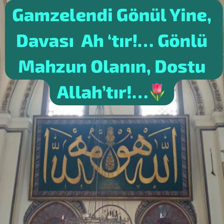 Türkiye Yürüyüş Grubu T.C H. 🇹🇷Hüseyin post image