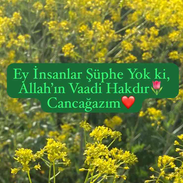 Türkiye Yürüyüş Grubu T.C H. 🇹🇷Hüseyin post image