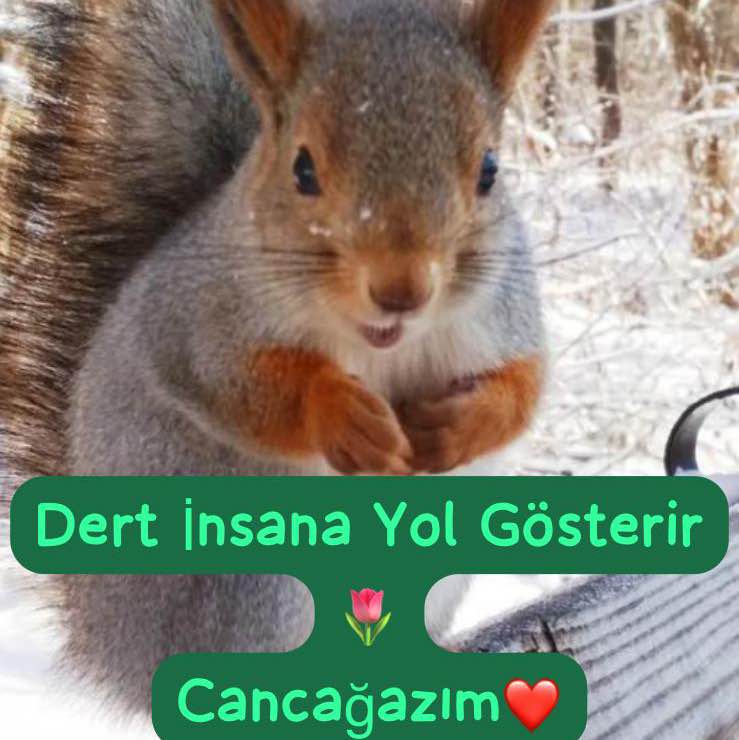 Türkiye Yürüyüş Grubu T.C H. 🇹🇷Hüseyin post image