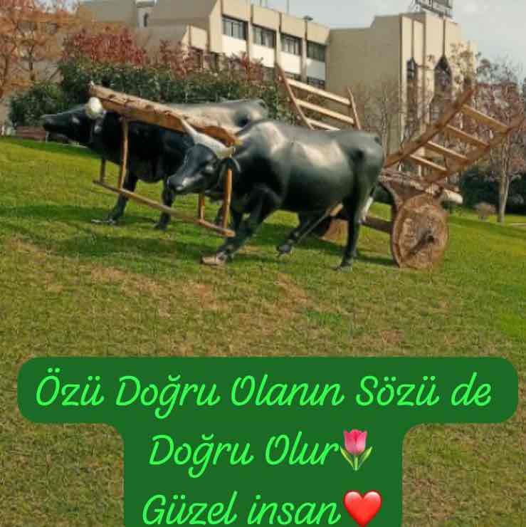 🇹🇷PACERS IN TURKEY🇹🇷 T.C H. 🇹🇷Hüseyin post image