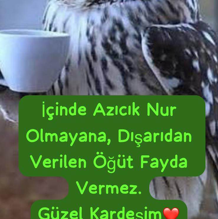 🇹🇷PACERS IN TURKEY🇹🇷 T.C H. 🇹🇷Hüseyin post image