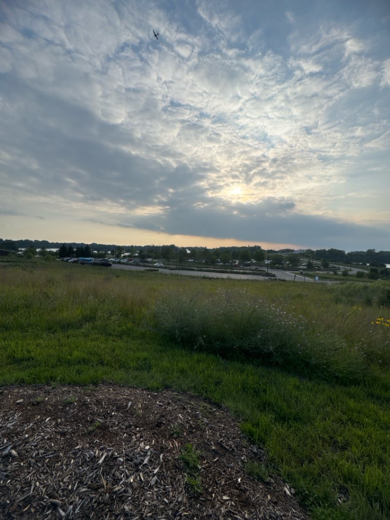 walking near me in Three Oaks Recreation Area in autumn