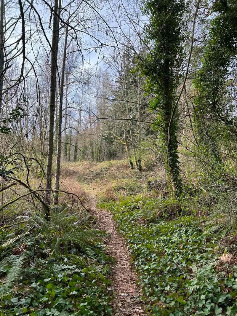 walking near me in Riverton Heights Park in winter