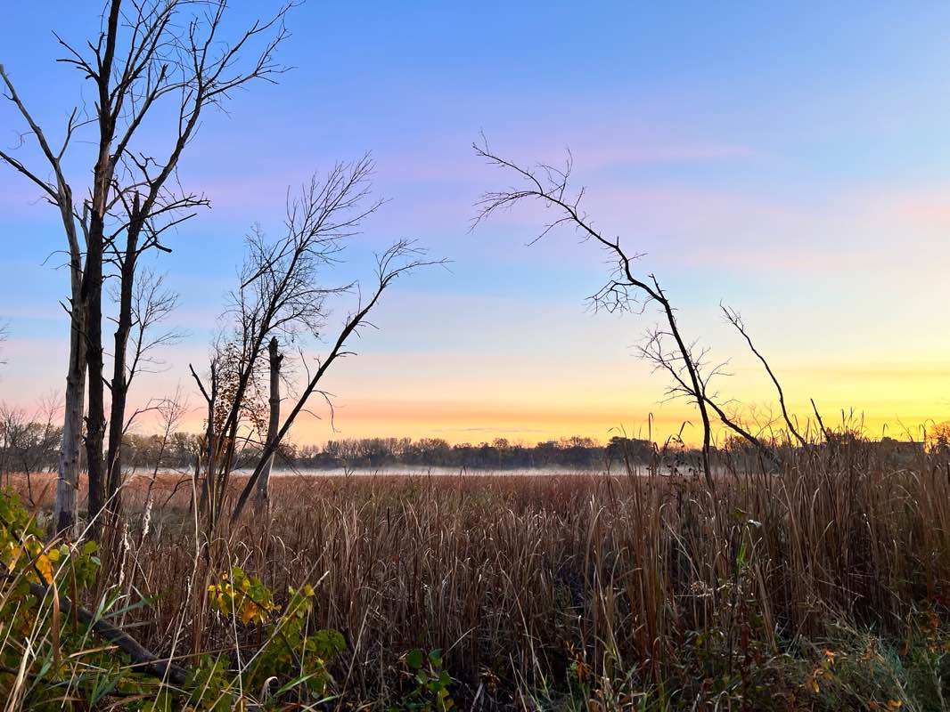 walking near me in Wolfe Park in winter