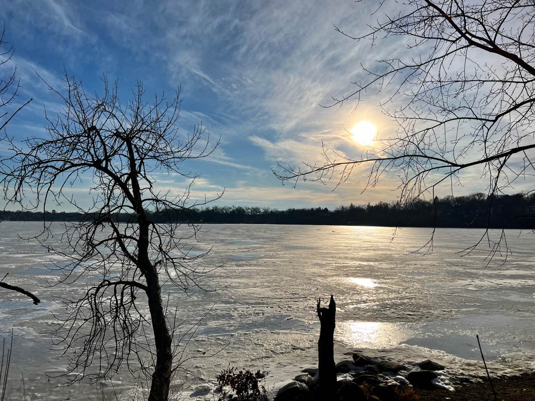 walking near me in Birchwood Park in winter