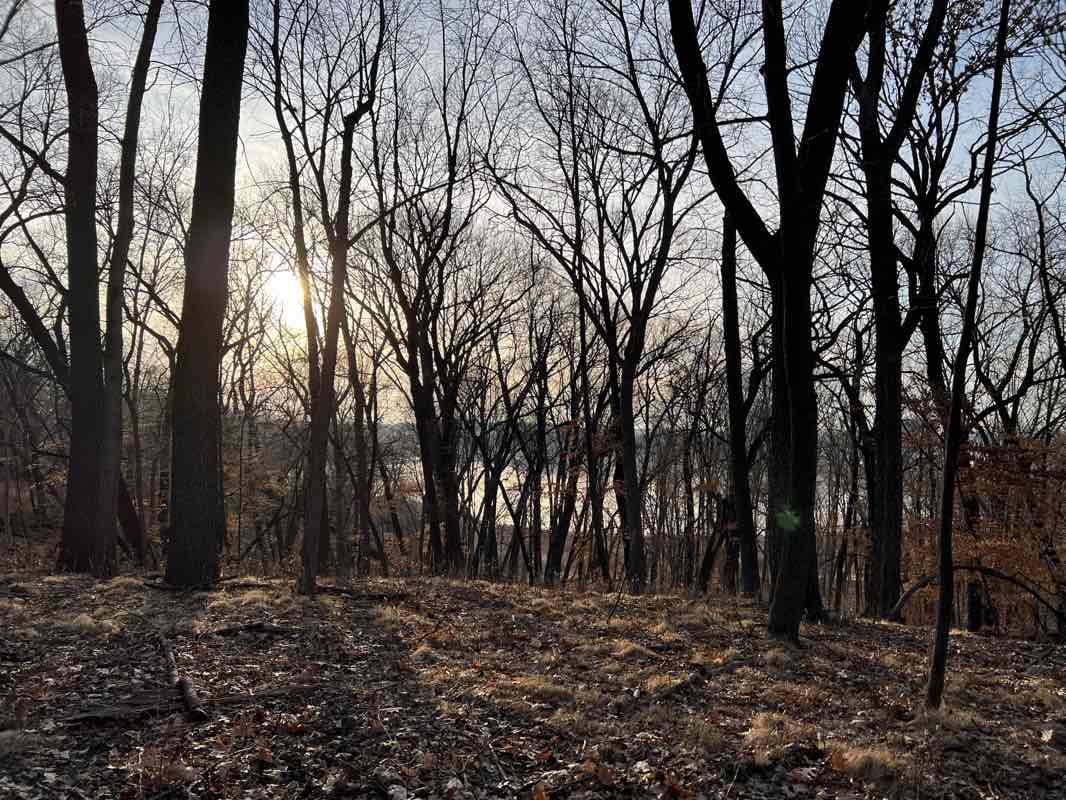 walking near me in Westwood Hills Park in winter