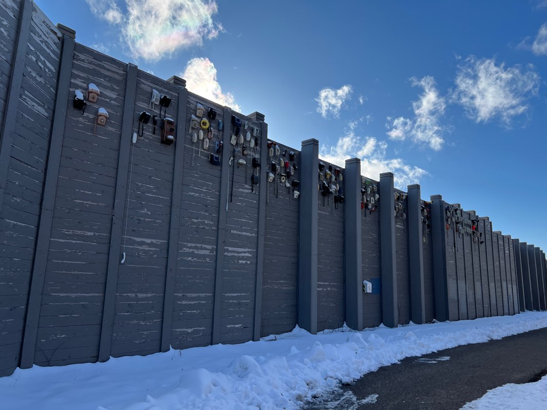 walking near me in Carpenter Park in winter