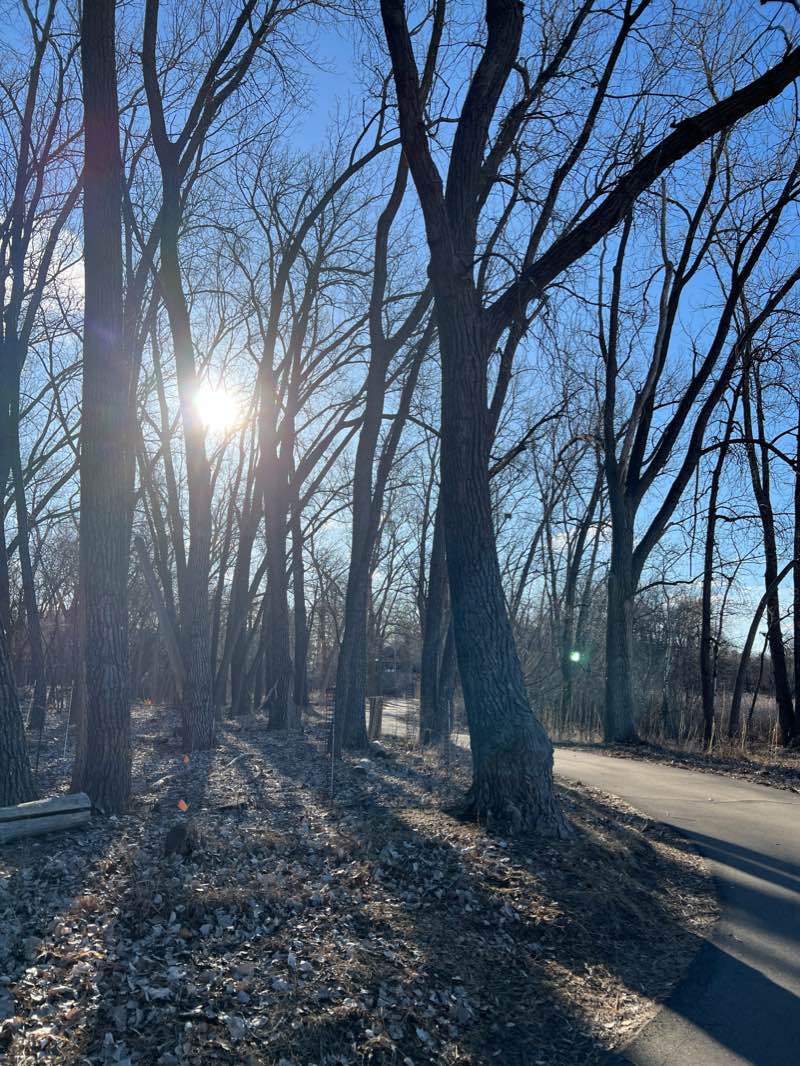 walking near me in Bass Lake Park in winter