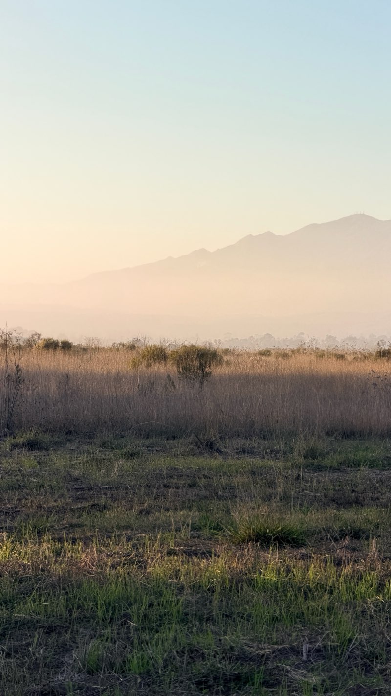 walking near me in More Mesa in autumn