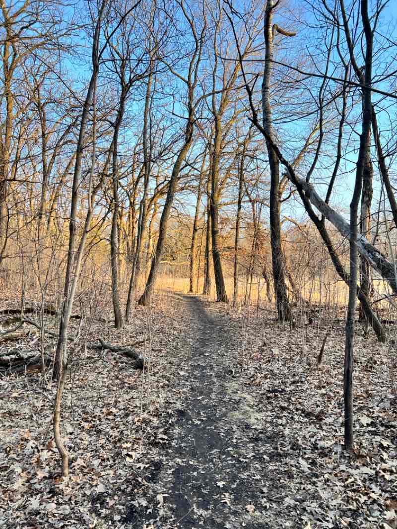 walking near me in Big Willow Park in spring