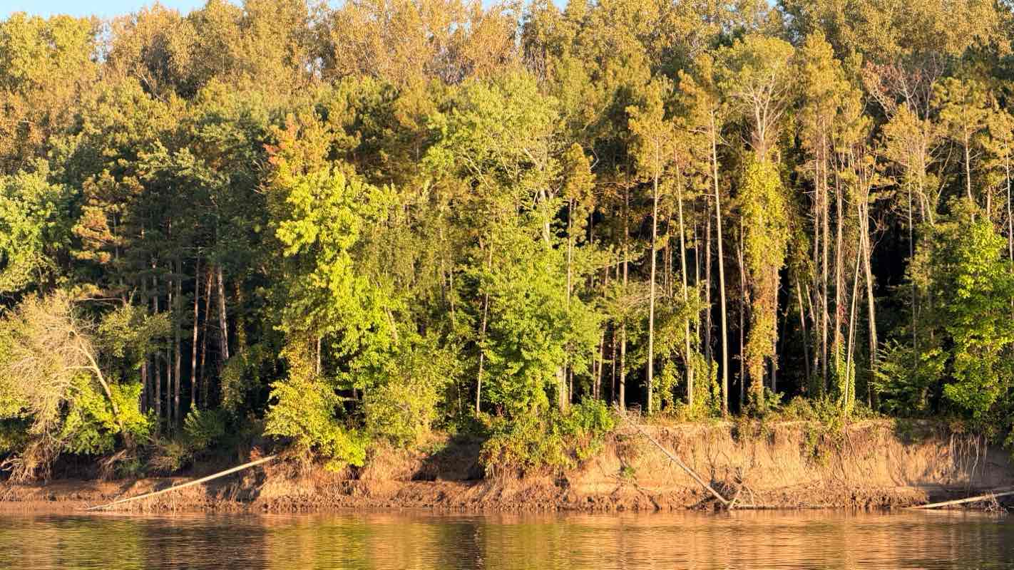 walking near me in Fort Snelling State Park in autumn