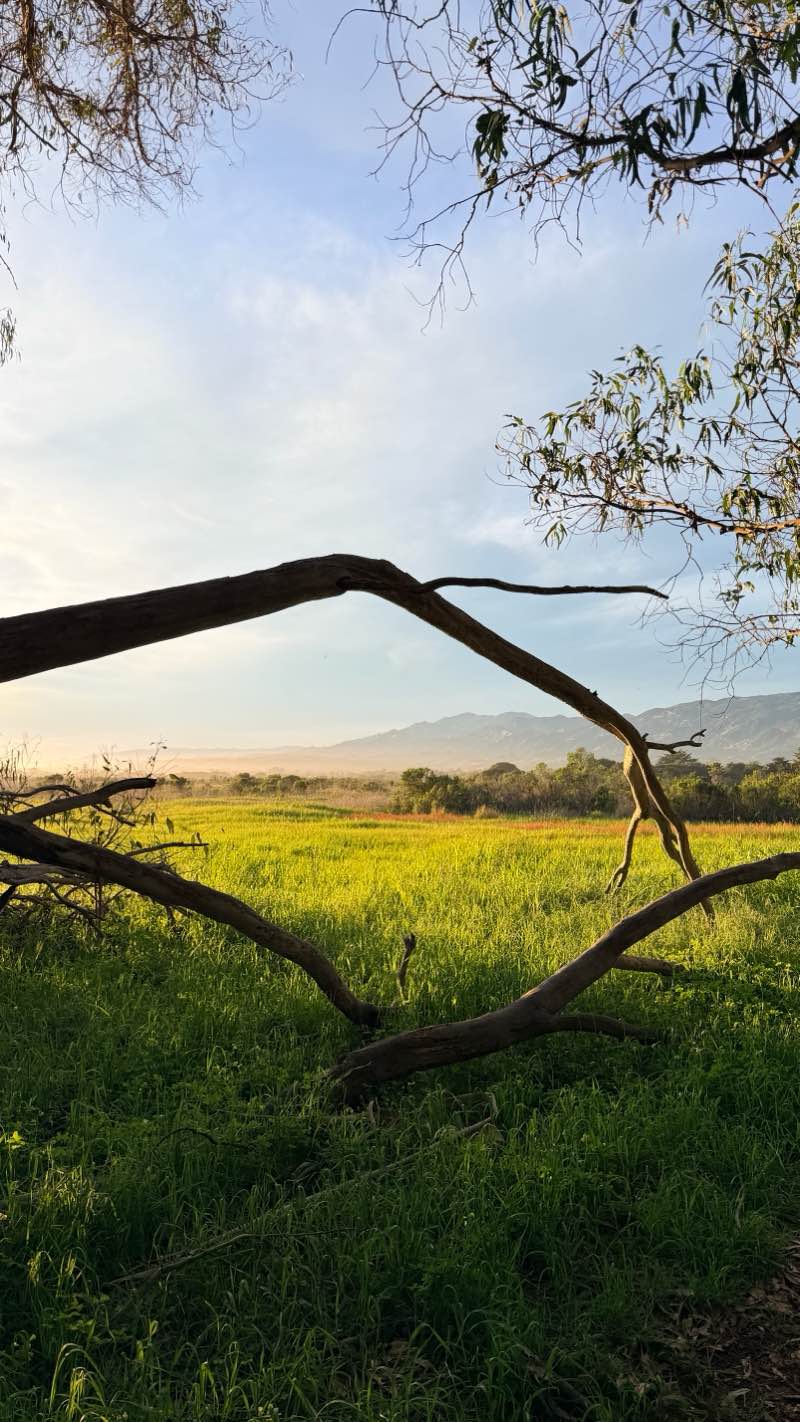 walking near me in More Mesa in winter