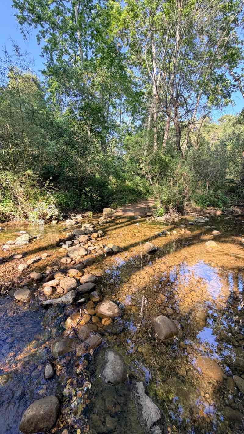 walking near me in San Antonio Canyon Park in spring
