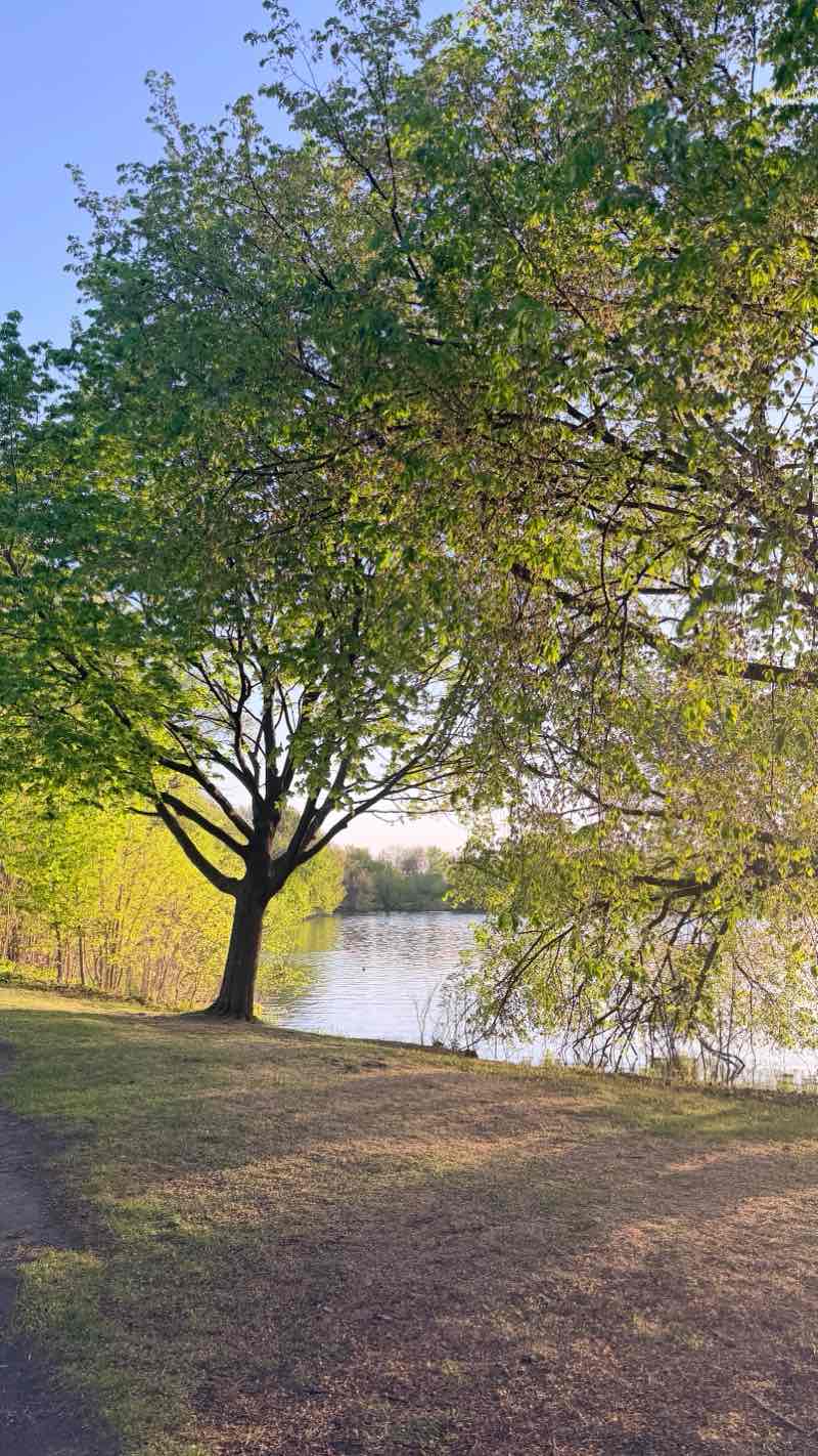 walking near me in Lake Nokomis Park in spring