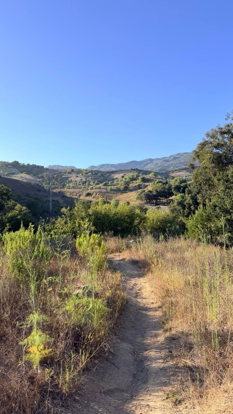 walking near me in San Antonio Canyon Park in summer
