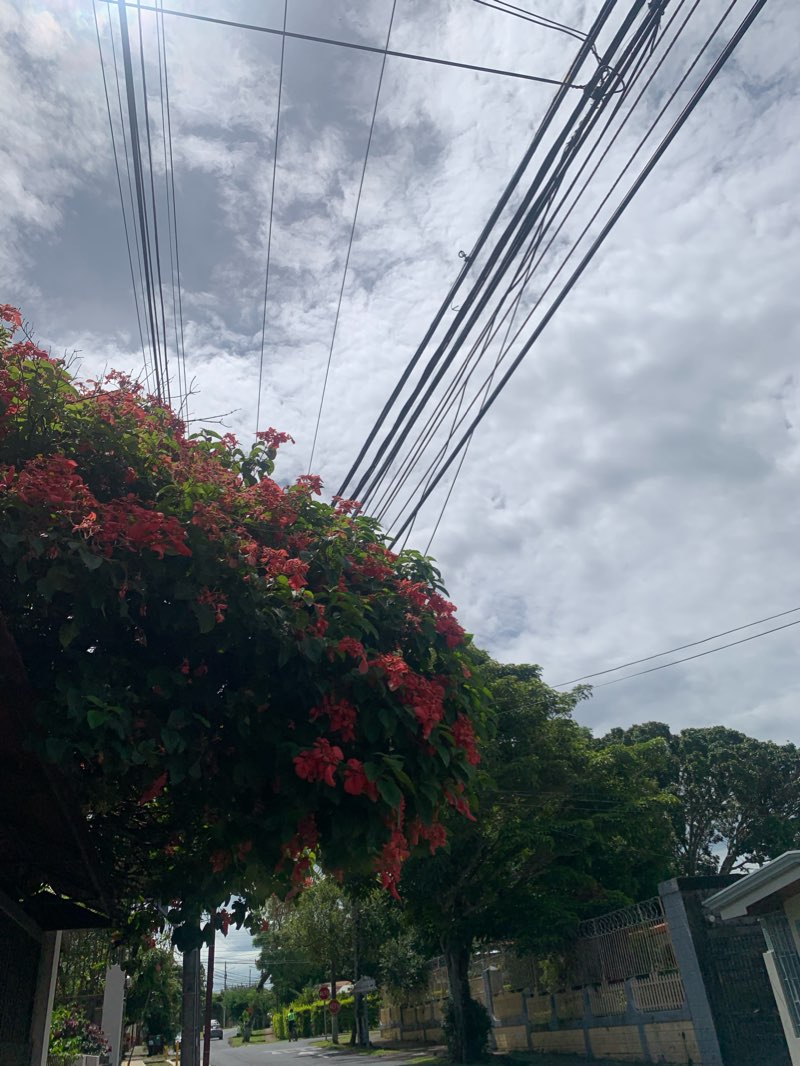 walking near me in Parque Los Abuelos in winter