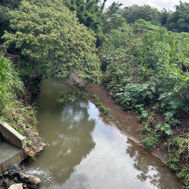 walking near me in Cementerio Municipal de Flores in winter