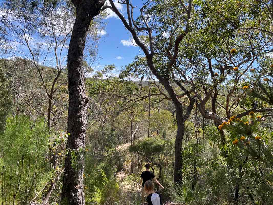 walking near me in Heathcote National Park in spring