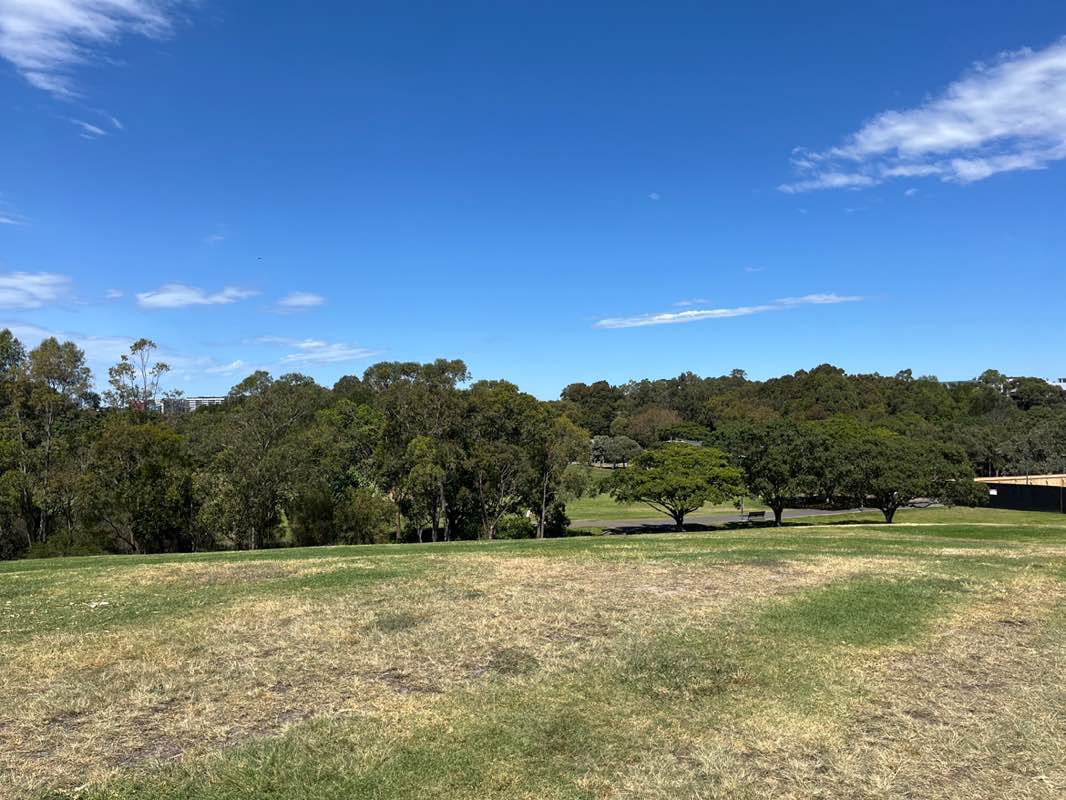 walking near me in Sydney Park in spring