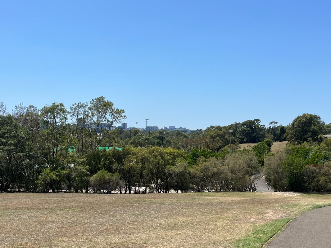 walking near me in Sydney Park in summer