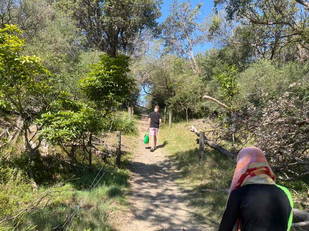 walking near me in Jerry Bailey Reserve in summer