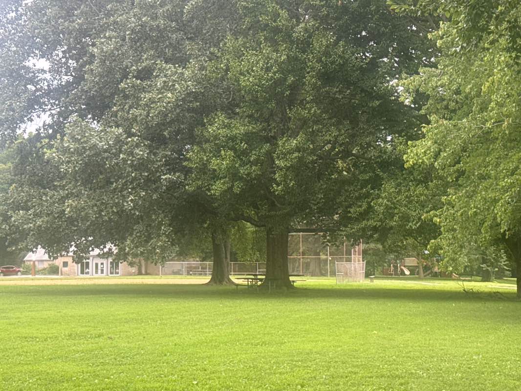 walking near me in George Rogers Clark Park in summer
