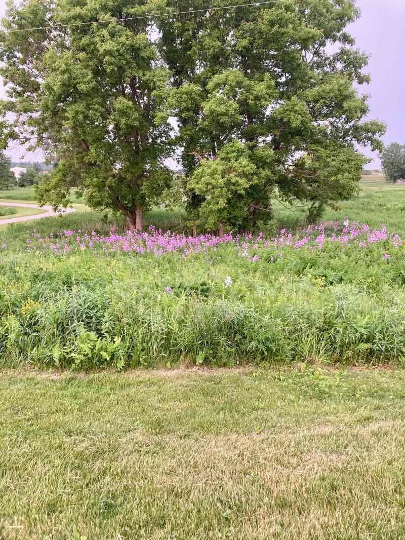 walking near me in Cascade Lake Park in summer