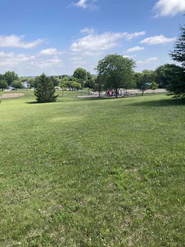 walking near me in Manor Park in summer
