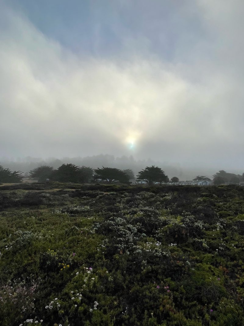walking near me in Hearst San Simeon State Park in winter