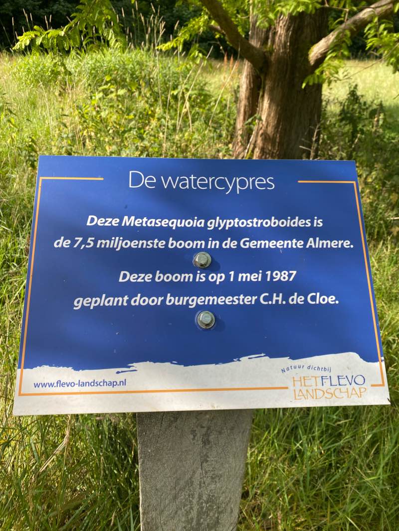 walking near me in Homeruspark in winter