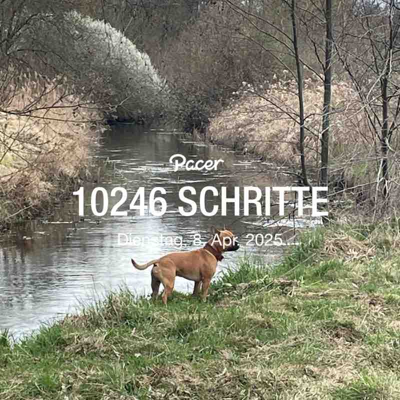 Oetzi post 1