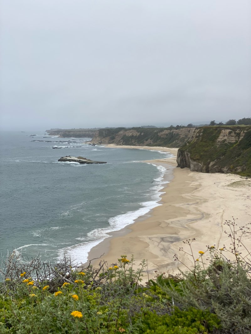walking near me in Half Moon Bay State Beach in winter