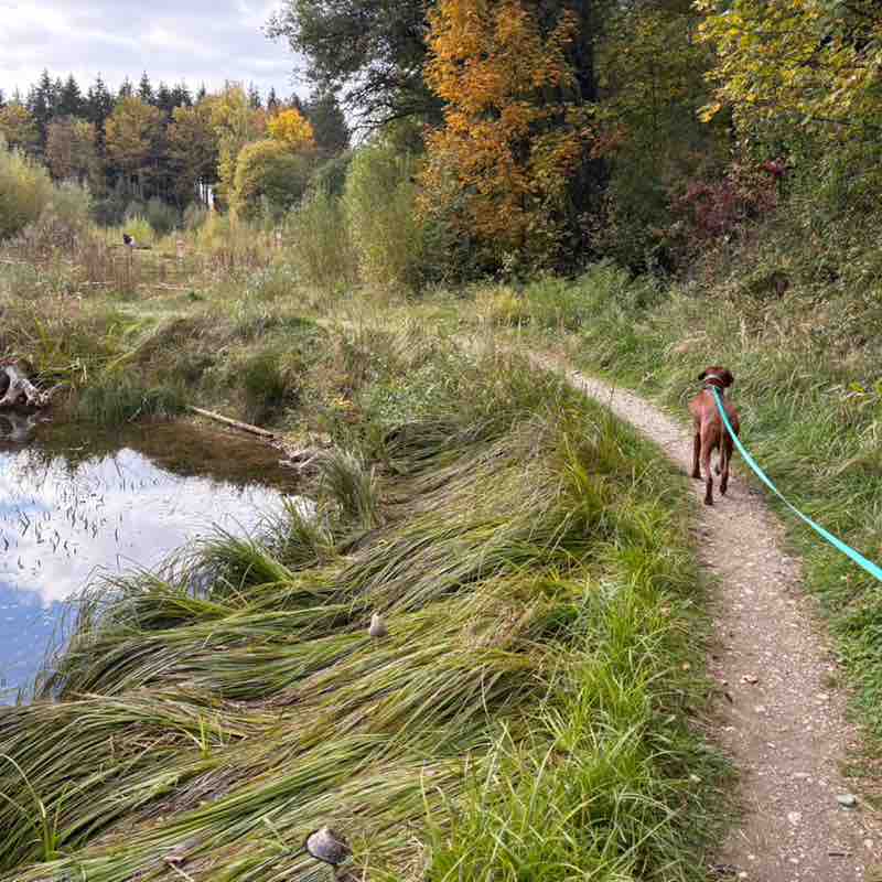 Yvonne 🐈‍⬛ 🐈 🐾 post 2