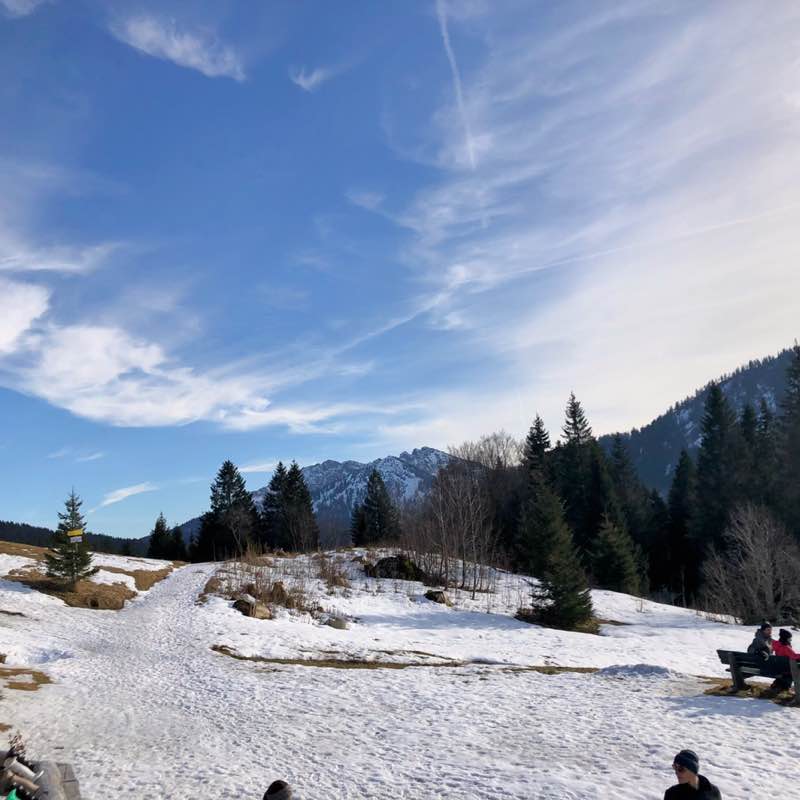 Yvonne 🐈‍⬛ 🐈 🐾 post 2