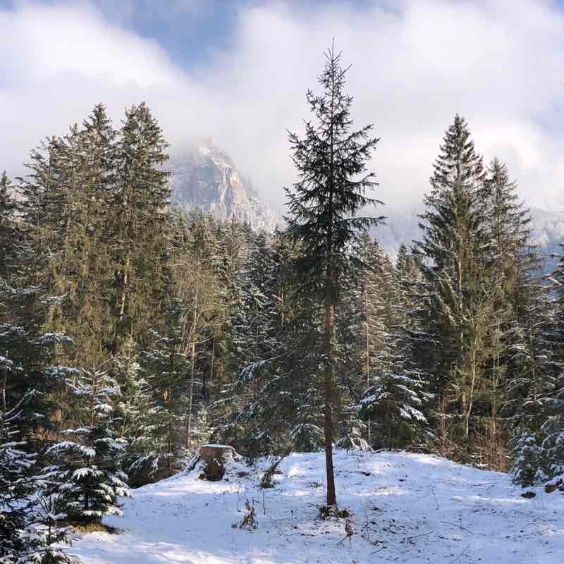 Yvonne 🐈‍⬛ 🐈 🐾 post 3