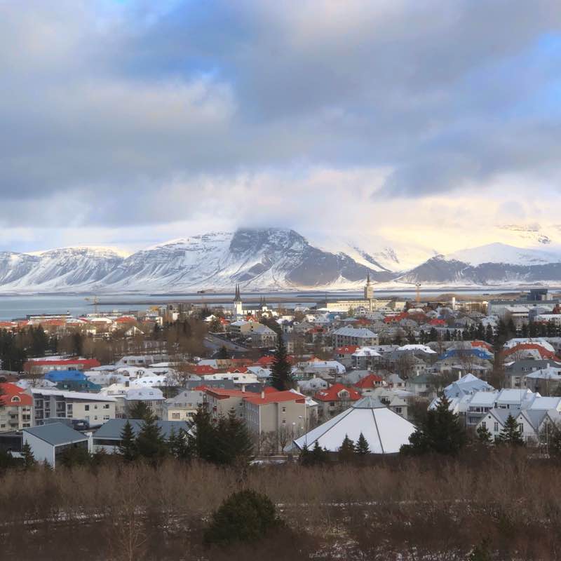 Yvonne 🐈‍⬛ 🐈 🐾 post 3