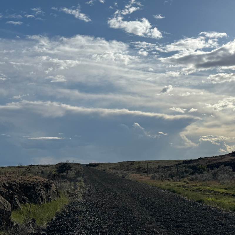 Trail Trotters Tracy post image