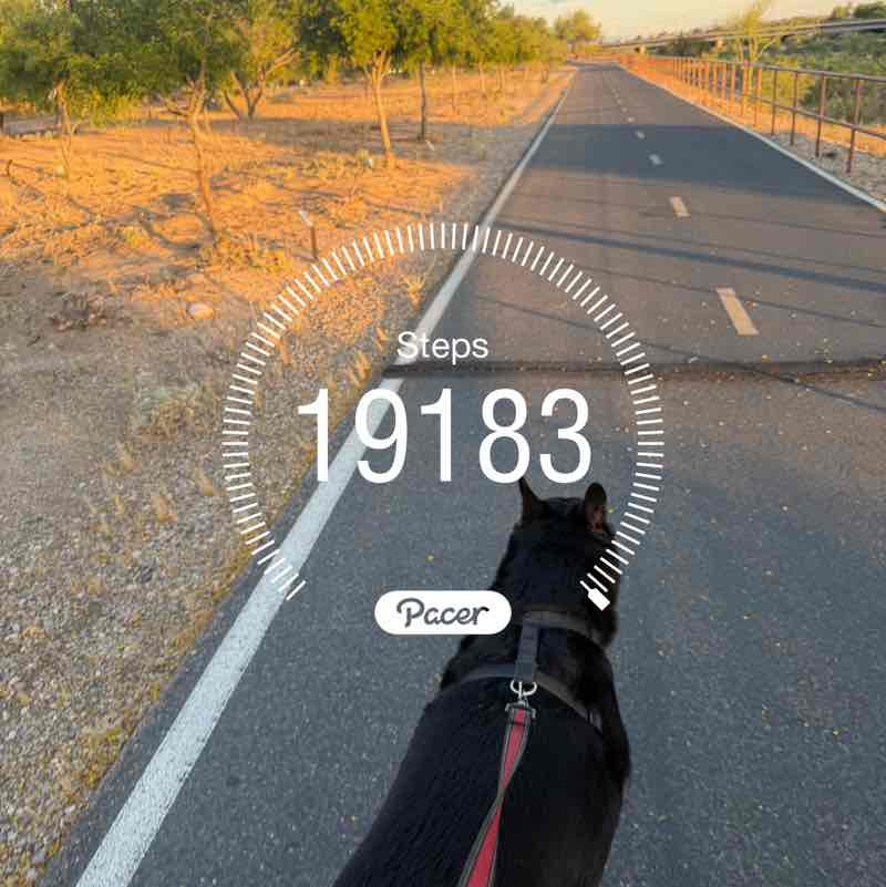 USA pacers. Ross 🐎🇹🇼🇺🇸🇲🇽🐎 post image