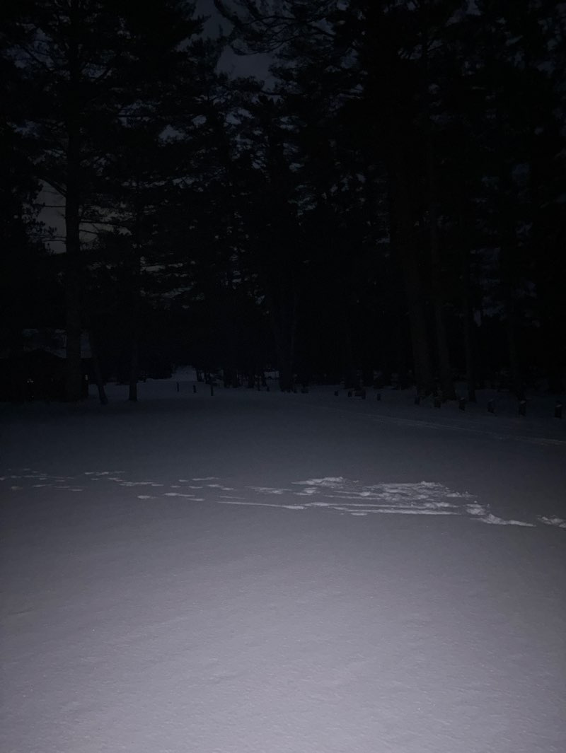 walking near me in Sargent Ponds Wild Forest in autumn