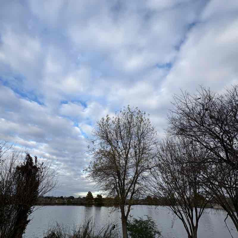 PacerGal_1982 post 1