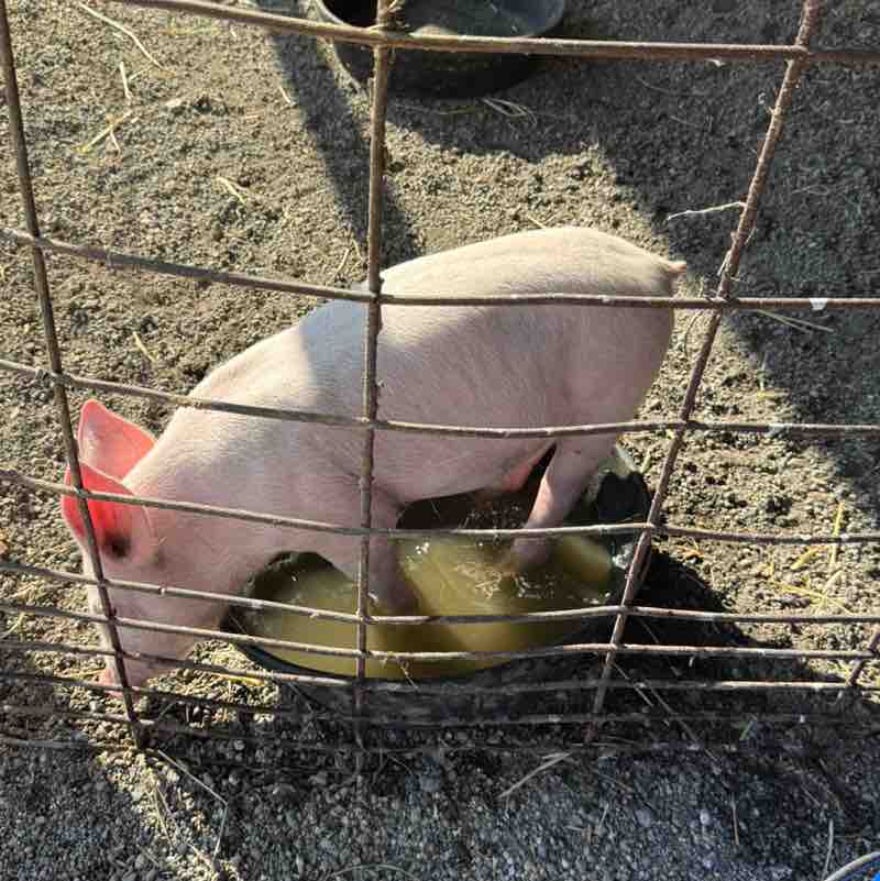 anchaudhary80 post 3