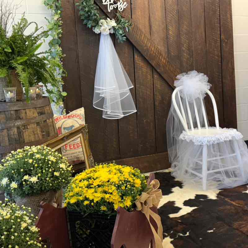 anchaudhary80 post 3