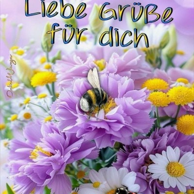 anita_47 post 2