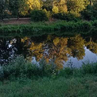 anita_47 post 2