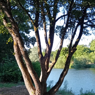 anita_47 post 2
