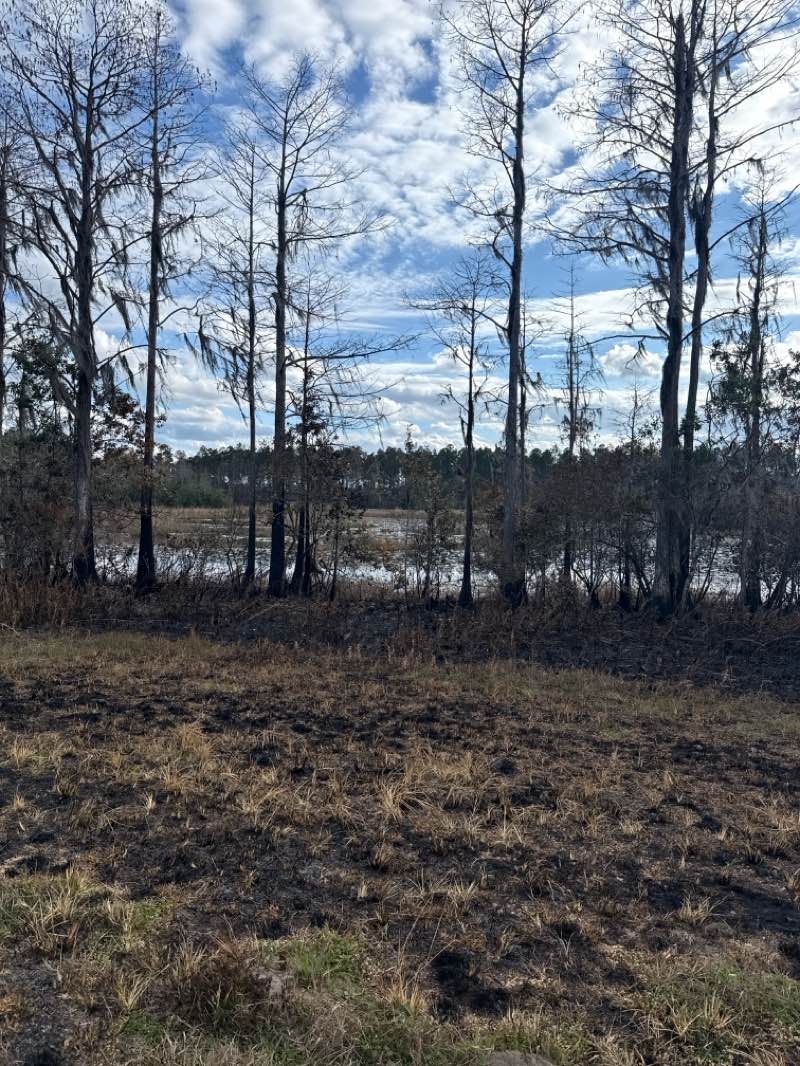 walking near me in Hilochee Wildlife Management Area in winter