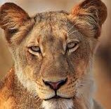 🏃🏻‍♀️ Unstoppable 🏃🏻‍♀️