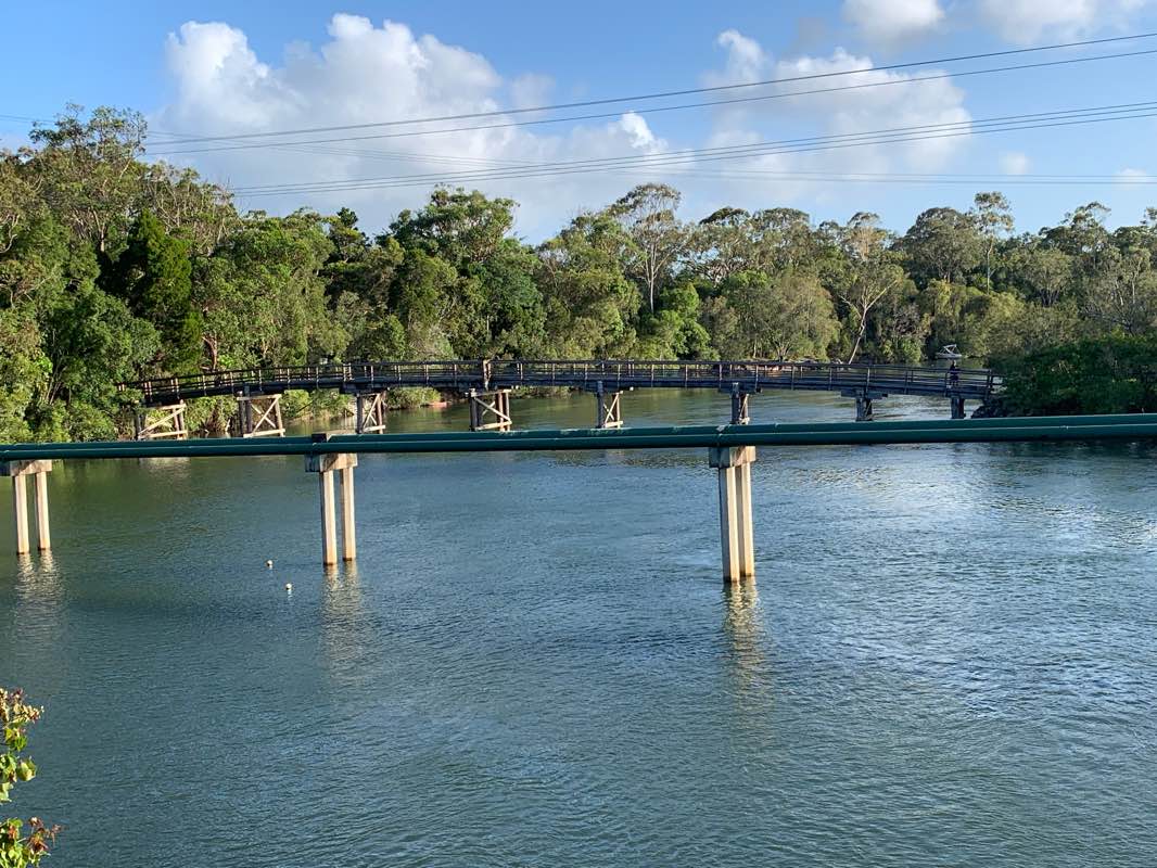 walking near me in Weyba Creek Conservation Park in summer