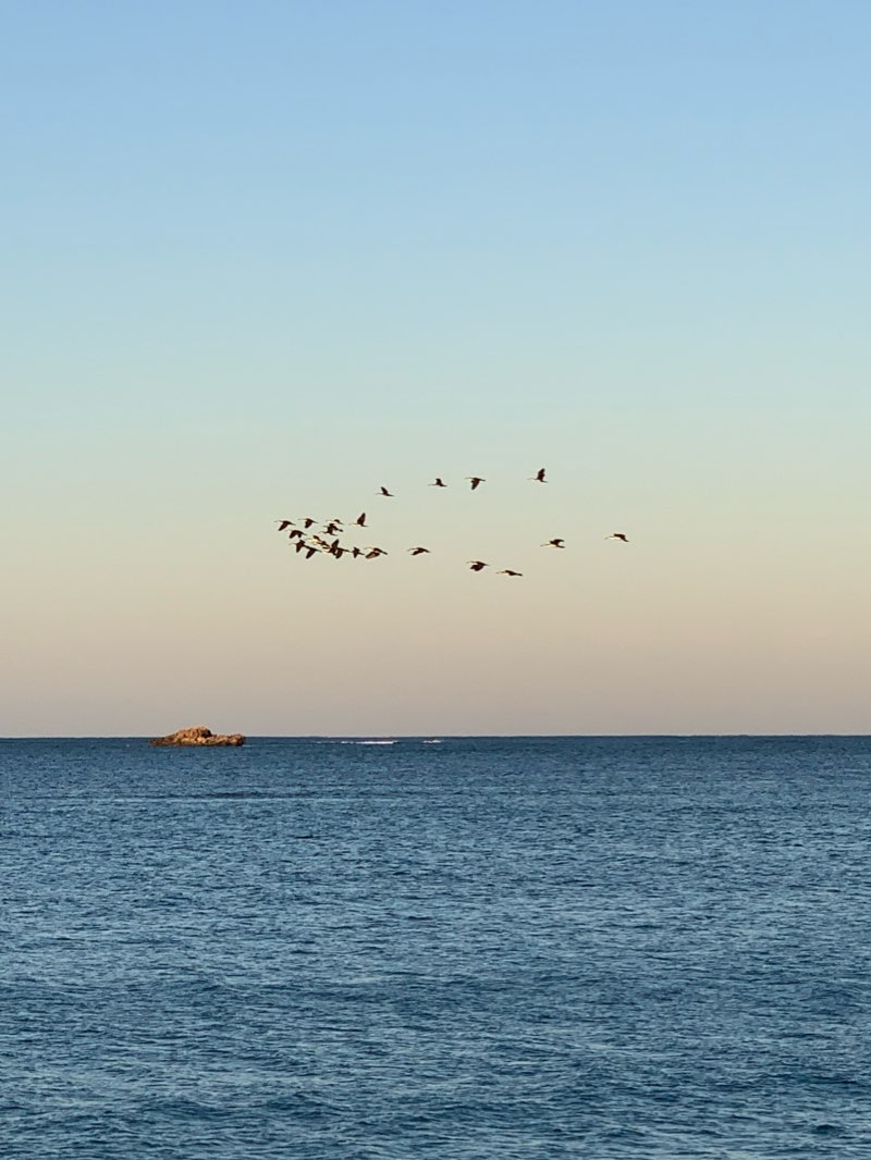 walking near me in Unnamed WA43903 Nature Reserve in summer